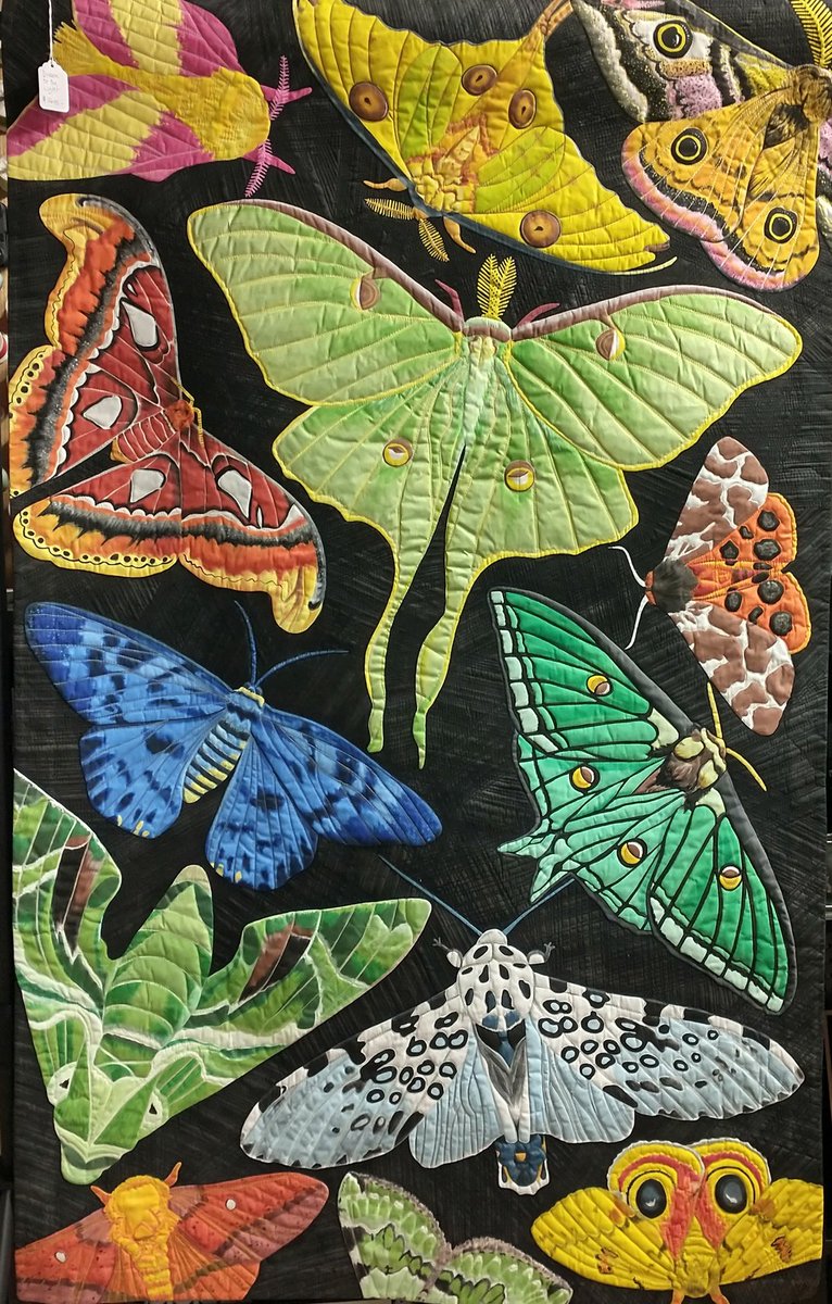 Susan Brubaker Knapp, contemporary expert quilter, as well as an artist and  author (Via J.Cannel FB) #WomensArt