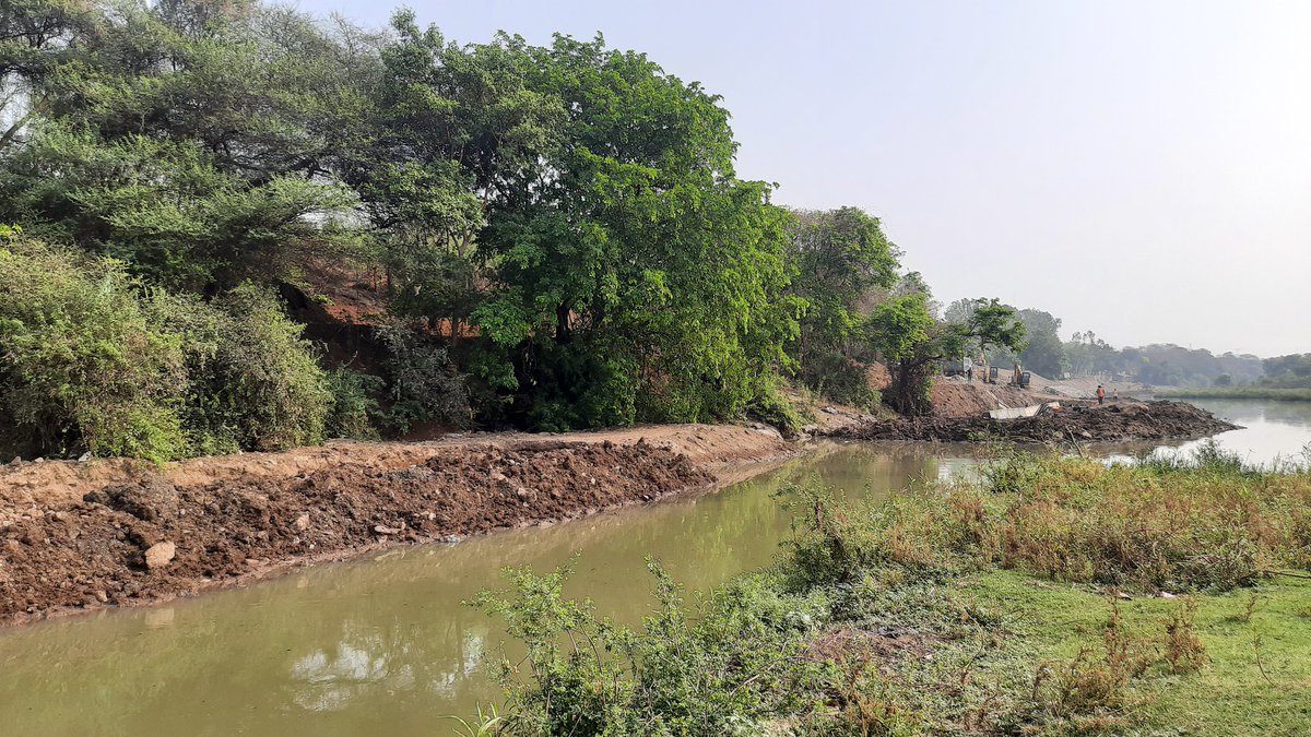 vandymini's tweet image. Trees have been tagged in the sacred grove &amp;amp; construction on the opposite riverbank is in full swing. The fate of ecologically &amp;amp; culturally significant grove which also has a small wetland remains uncertain. #SaveRamMulaDevrai  #Pune #India