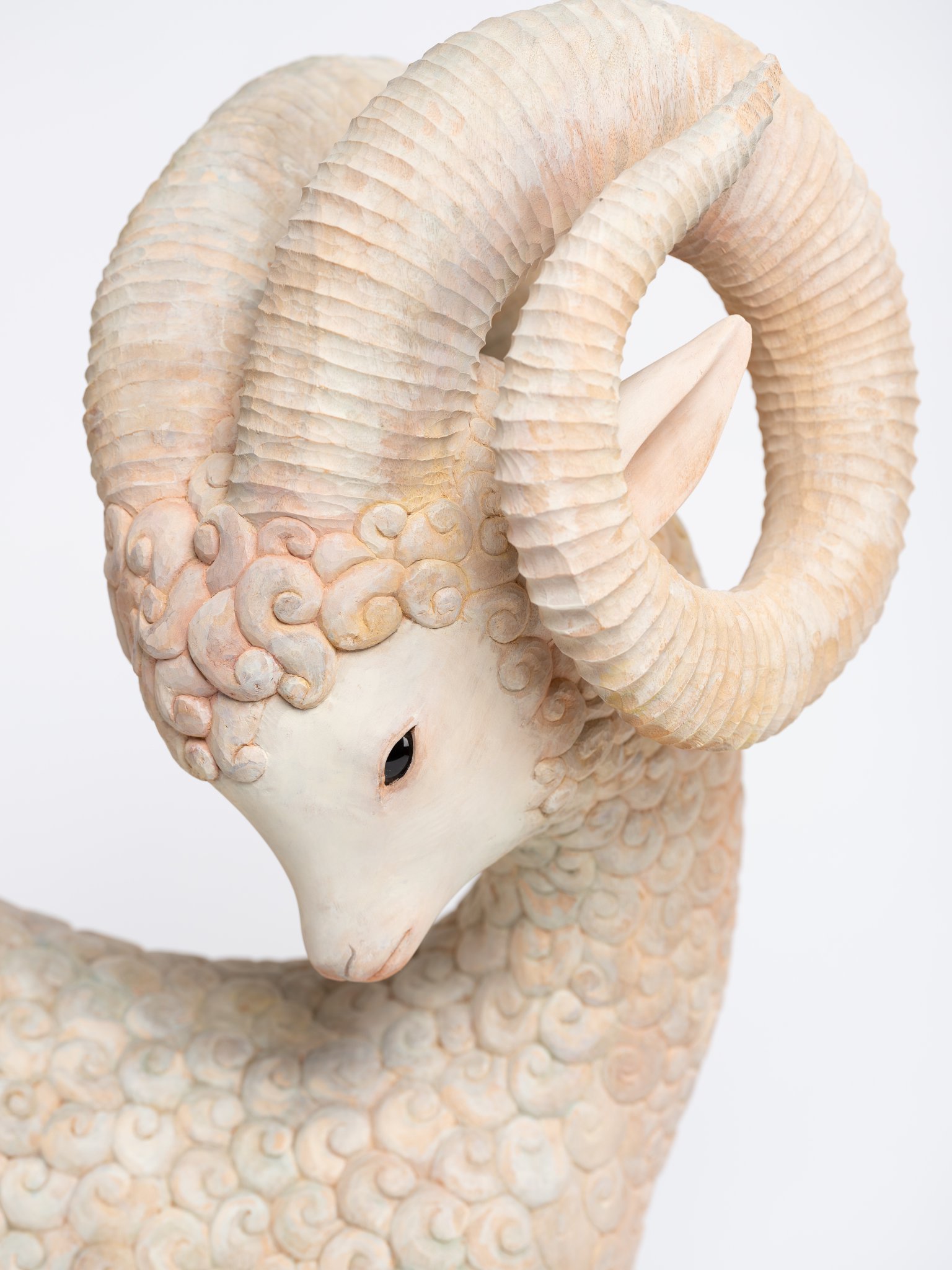𓃴 土屋仁応 / Yoshimasa Tsuchiya on X: 