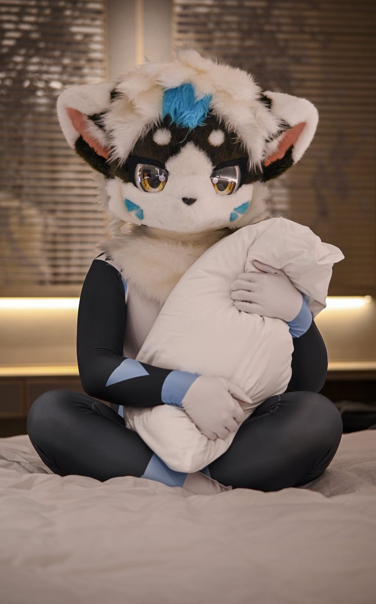 我已经等好啦！
就差你咯～
📷：@furry_chenhsi