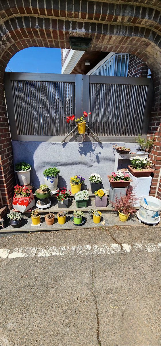 자랑합니다.
우리 동네 골목길 어떤 할머니는
이렇게 사십니다.