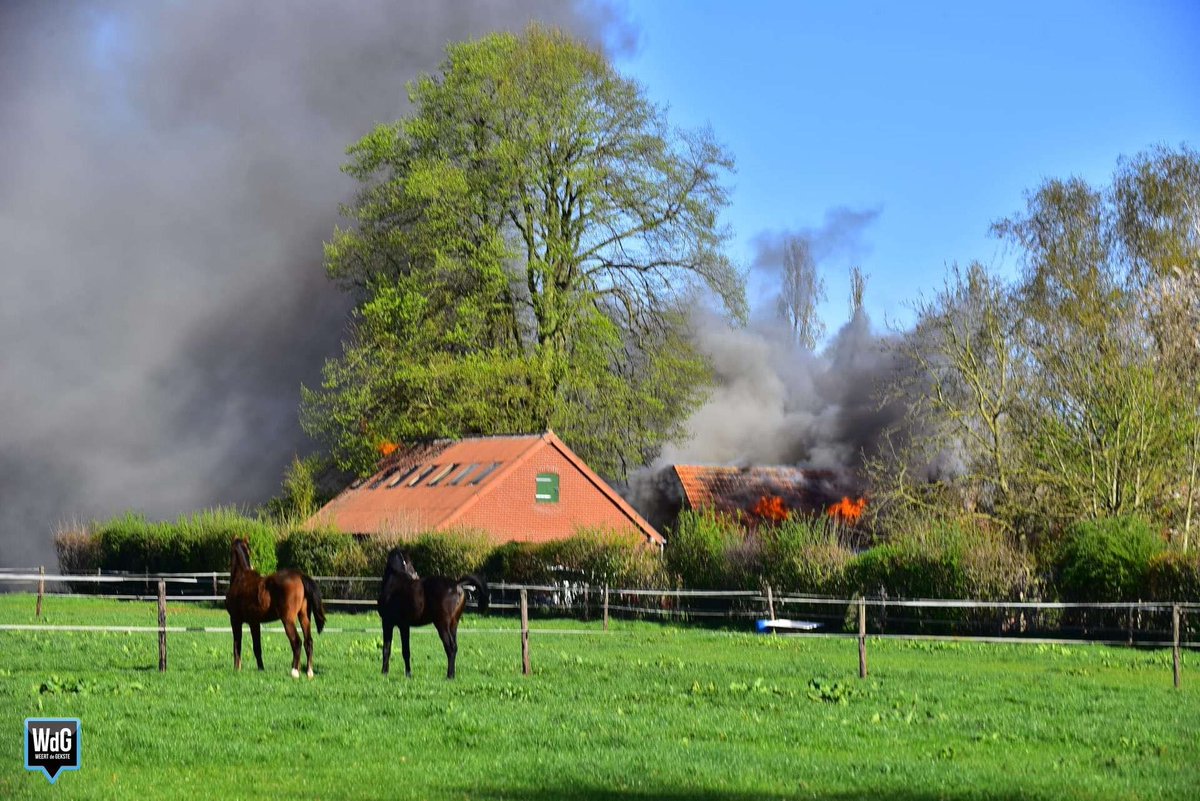 Brand in woning en stal in Ospel