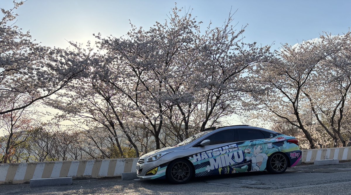 대파쪼가리 tweet media