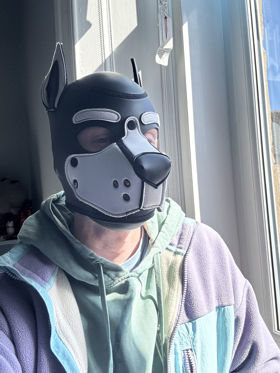 BarkBark tweet media