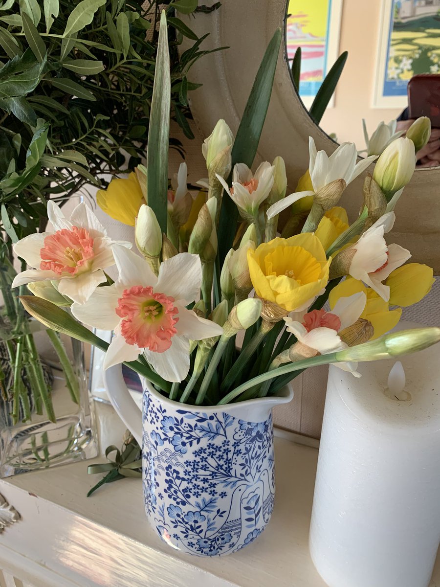 kimlam07's tweet image. How fabulous have the daffodils been this spring?
The white ones with the apricot centre were £1.79 for a huge bunch in Lidl - absolute bargain.