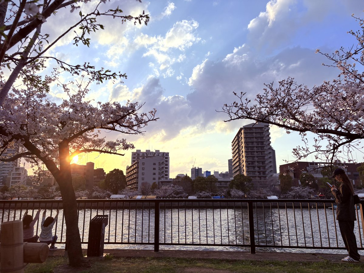SiblingsNoya's tweet photo. 🌸🌸🌸
#Osaka
#Japan
#Sakura https://t.co/LP7gF4fM1K