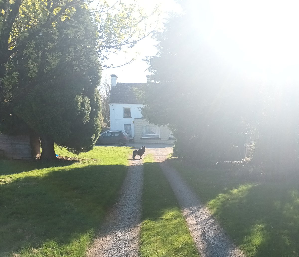 Maidin deas, amach ar an bothar le Koda #gaeilgegachlá