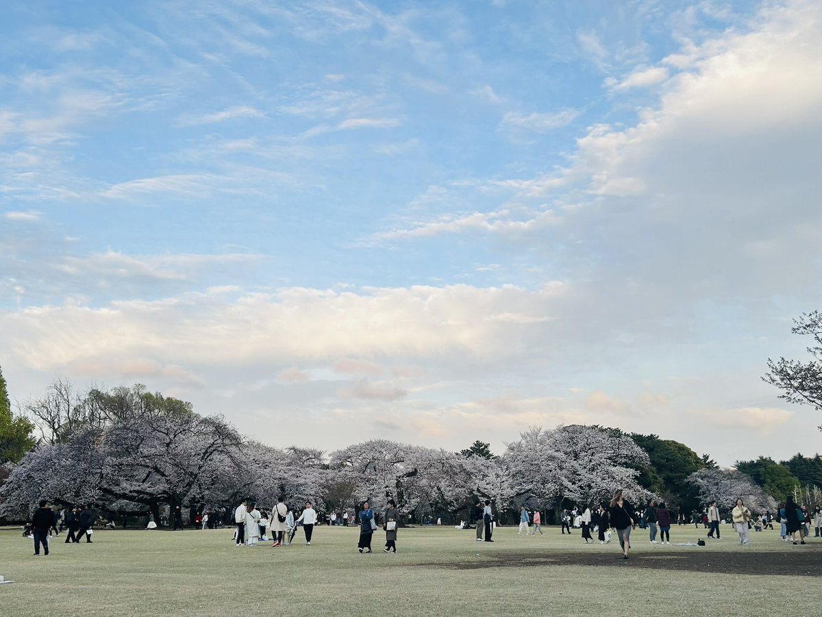桜も空も良い感じ