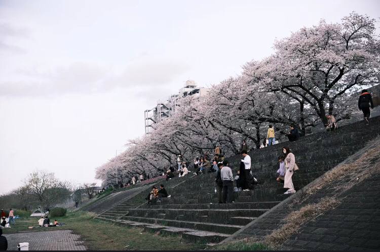 横浜の桜も満開状態ですよ🌸
休みは遊びに行くのが一番です😀