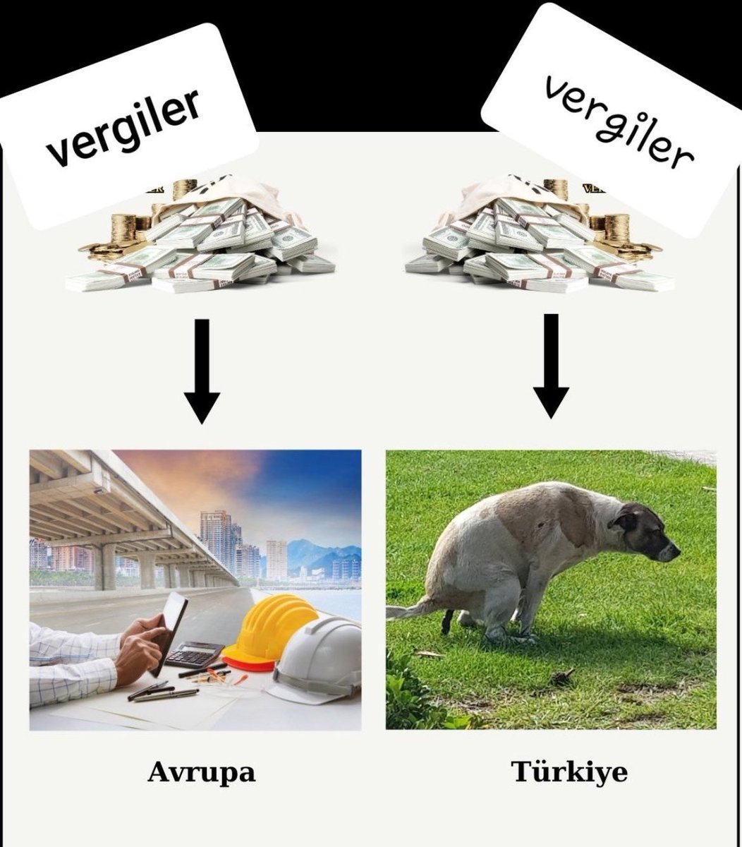 İnsanlar ısırılır, parçalanır, ölürken,

İlçeler Arası 

"En Lüks Barınak Bizim Barınak" 

Yarışması mı başladı? 

<a href="/TC_icisleri/">T.C. İçişleri Bakanlığı</a> <a href="/AliYerlikaya/">Ali Yerlikaya</a> <a href="/tcbestepe/">T.C. Cumhurbaşkanlığı</a> <a href="/HMBakanligi/">T.C. Hazine ve Maliye Bakanlığı</a> <a href="/csbgovtr/">T.C. Çevre, Şehircilik ve İklim Dğş. Bakanlığı</a> <a href="/_cevdetyilmaz/">Cevdet Yılmaz</a> <a href="/tcbestepe/">T.C. Cumhurbaşkanlığı</a>