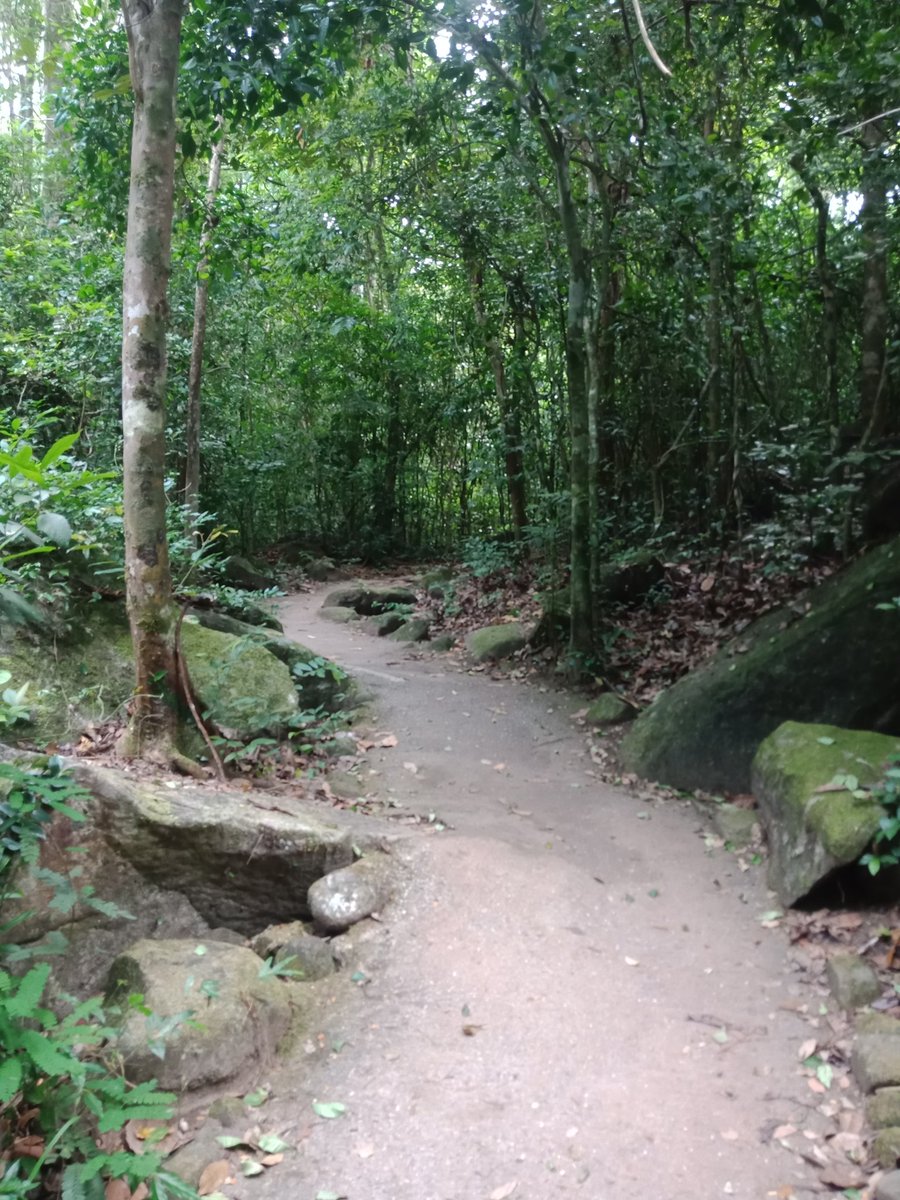 พักผ่อน เขาชะเมา ระยอง