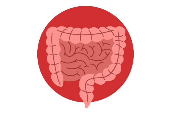 IBD is also known to have extra-intestinal manifestations, particularly rheumatological complications 💪
 
Our latest Web Education article focuses on 'Rheumatological Manifestations of #IBD for the Practising Clinician': ow.ly/bnYL50VtLfh
