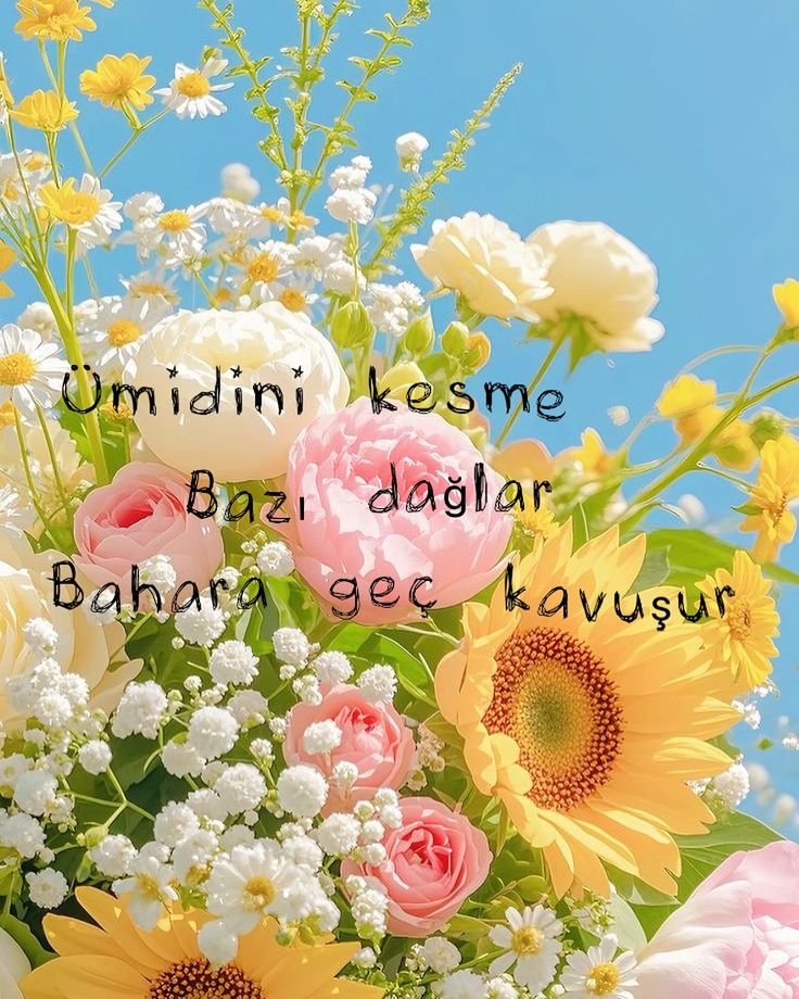 Monna Rosa (@ayaserenat) on Twitter photo 