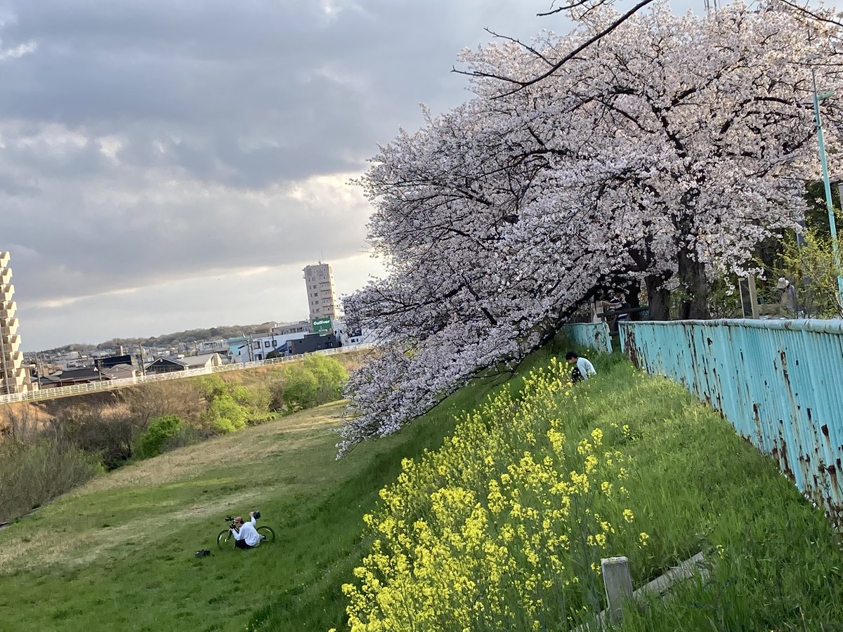 ugachanblog's tweet image. こんにちは😃
週末いかがお過ごしでしたか
朝晩と日中の気温差があるので
お身体に気をつけてください
朝から雨模様で簿記勉をインプット
アウトプットを繰り返しました
わかったつもりが厄介😞
夕方頃晴れ間も垣間見れ
ウォーキング🚶♀️がてらお花見に🌸
明日に備えて
皆様もゆっくりお過ごしください