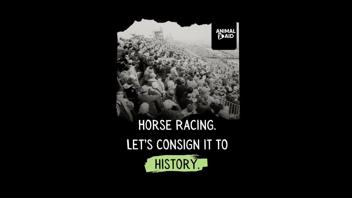 Animal Aid tweet media