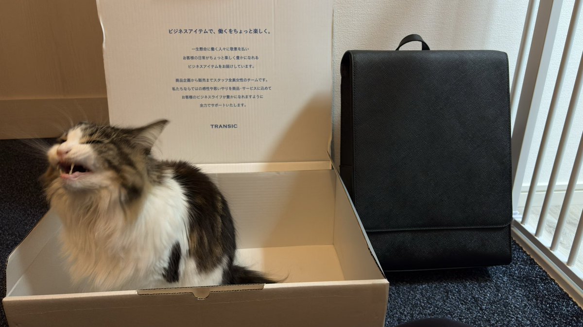 SIEG_Xbox's tweet photo. 2年くらい使ってた #TRANSIC のランドセル型リュック。
お気に入りだったので再購入。
今度は型が崩れないよう、丁寧に使っていこう。
女性だけのチームって知らなかった。他の紙袋型革トートとかめちゃ素敵なので、いつか… https://t.co/RjWRBrxEZ1