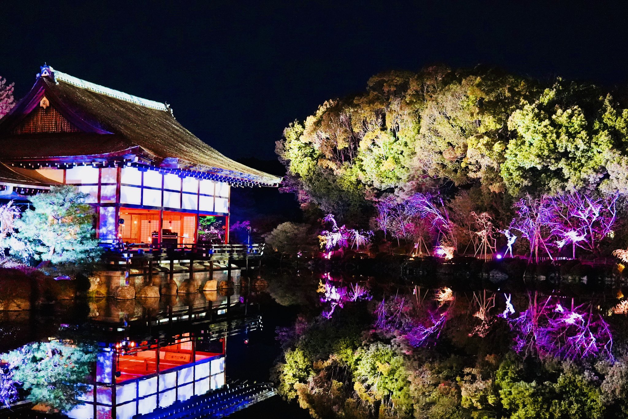 平安神宮 桜音夜 (@otoyo_pr) / X 平安神宮 桜音夜 (@otoyo_pr) / X