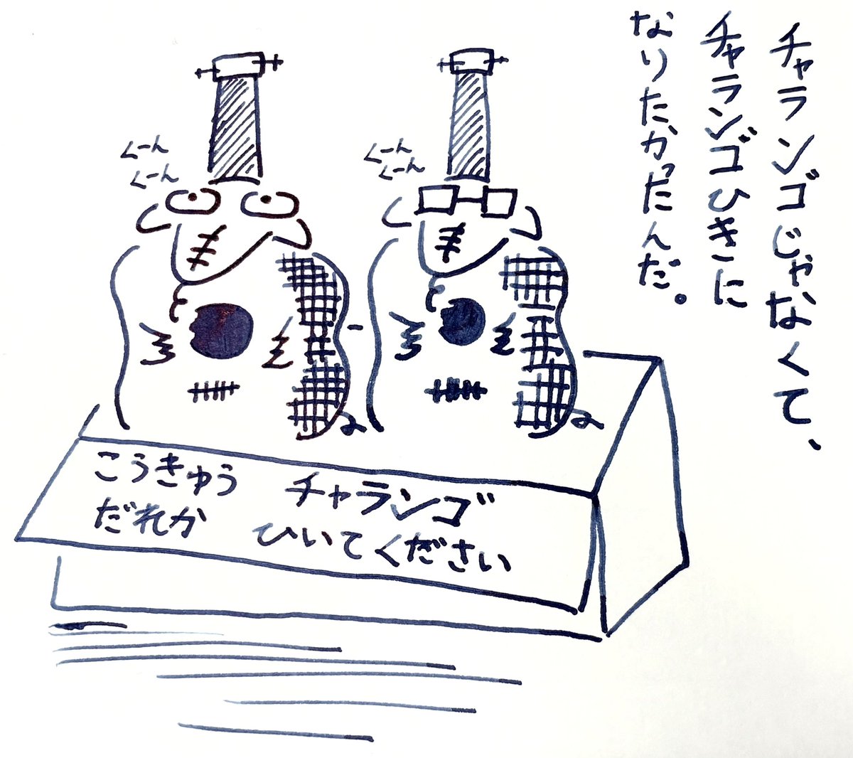 チャランゴ。
#びーばくん
