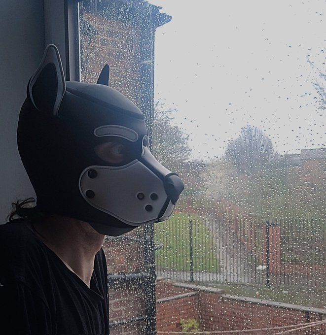 godapup