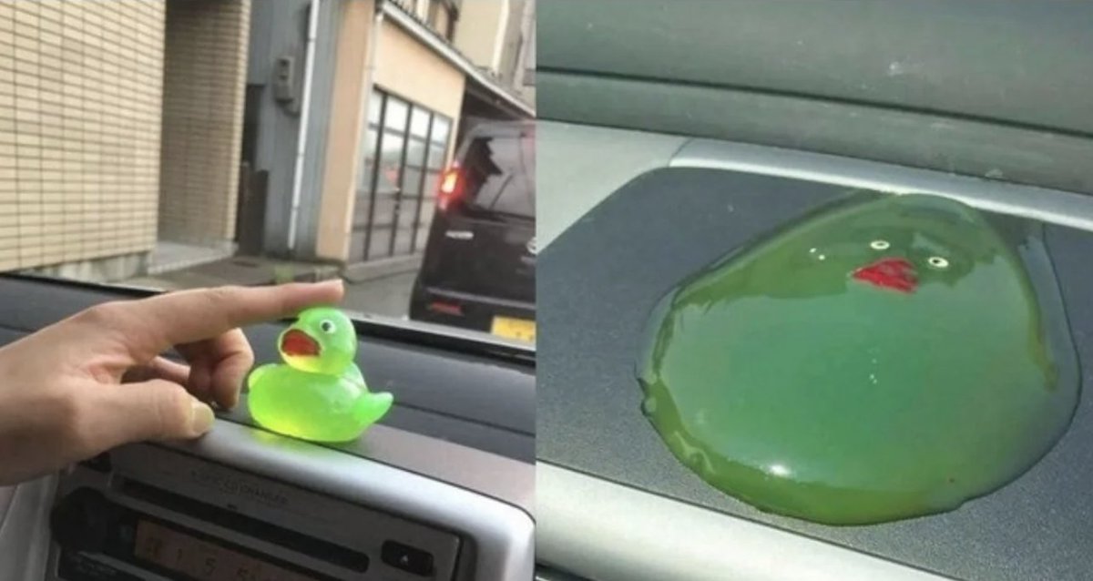 "Explícale al patito de goma tus problemas de código".

Mi patito después de programar 1 día conmigo: