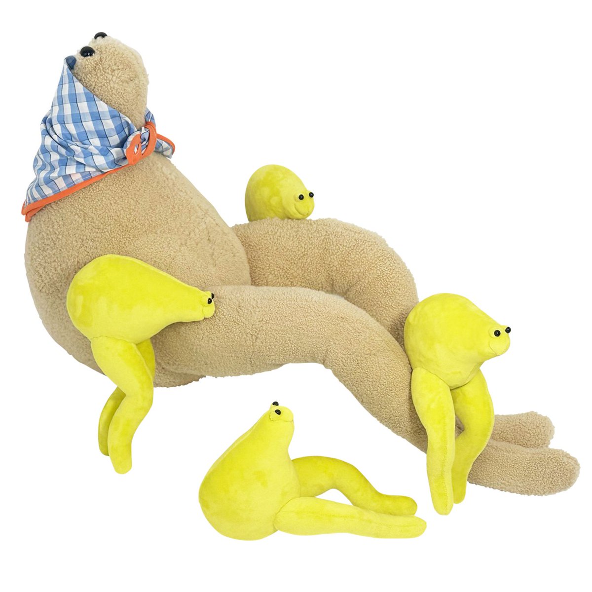 Nomiboys】 Nomiboys are very friendly and love to have their