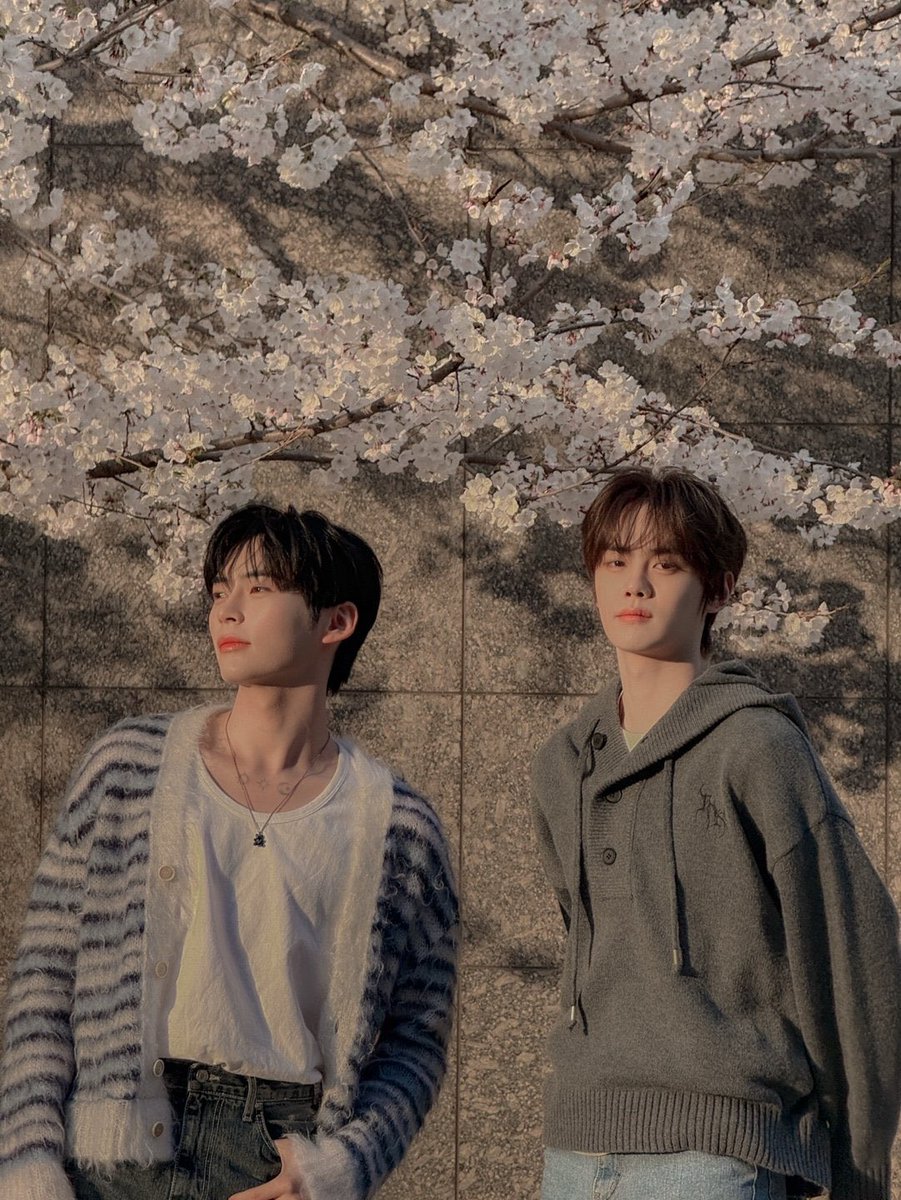 250406 🐹 ➕📸
