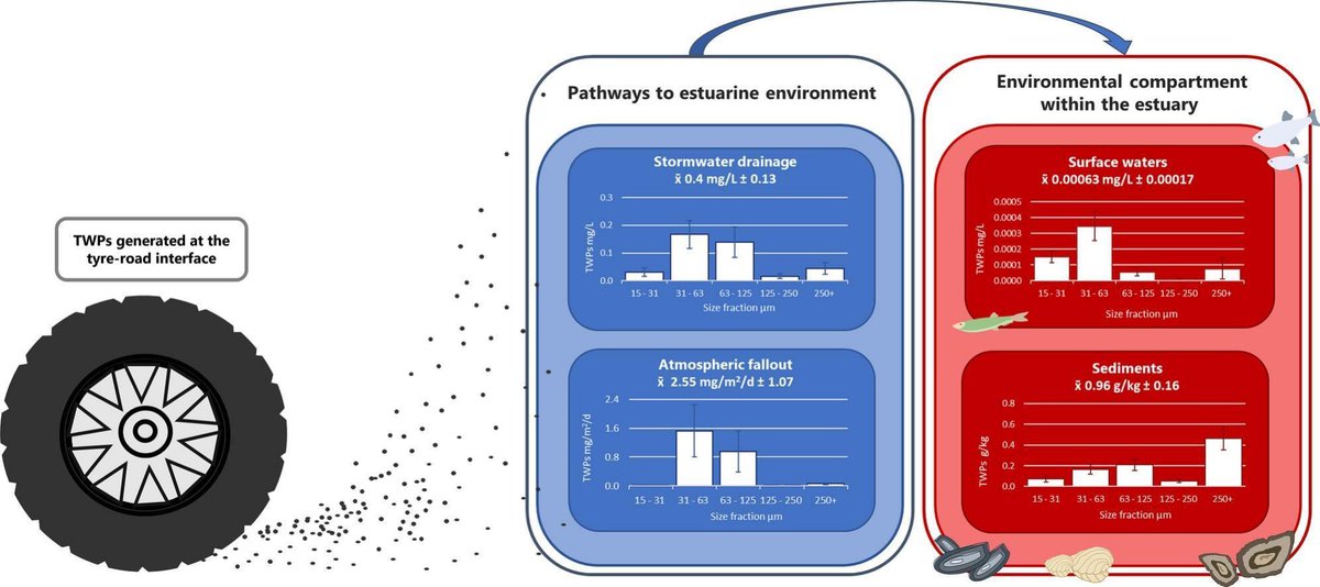 GeoffD_Abbott's tweet image. Latest paper giving new insights into the long range transport of tyre-derived microplastics in surface waters. Py-GC/MS carried out at @UniofNewcastle in collaboration with @ParkerJurd @ProfRThompson @PlymUni @SciencesNCL
DOI: 10.1016/j.marpolbul.2025.117811
