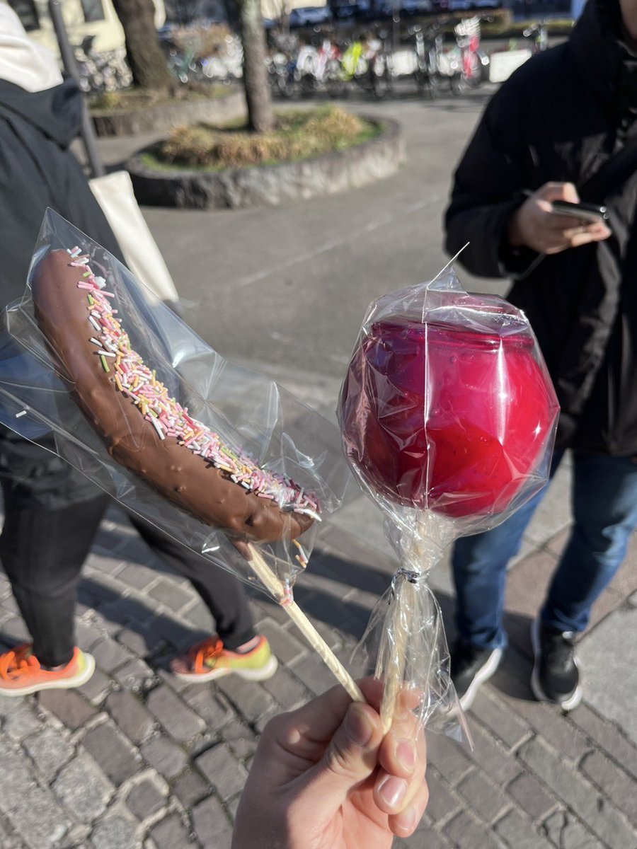 研究室でお花見に行ってきました🌸
満開日に開催を予定したのに、急な寒さのせいで開催日が開花日になってしまいました。
でも結局、花より団子ですしね🍡😋🍻！

#お花見　#宮城大学　#食産業学群　#生物生産学類　#園芸学研究室　#研究室生活