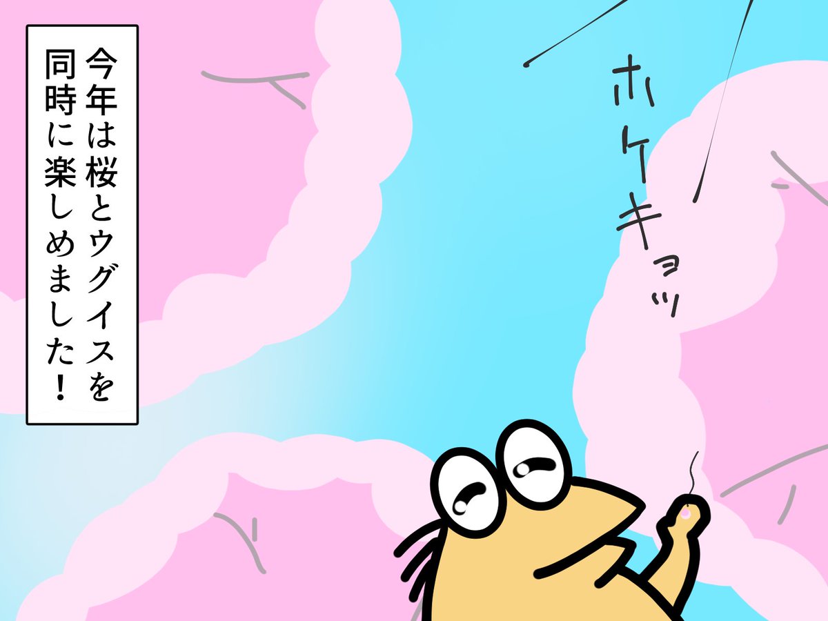 桜満開の時期にウグイスの鳴き声
初体験でした
#お花見 #イラスト 