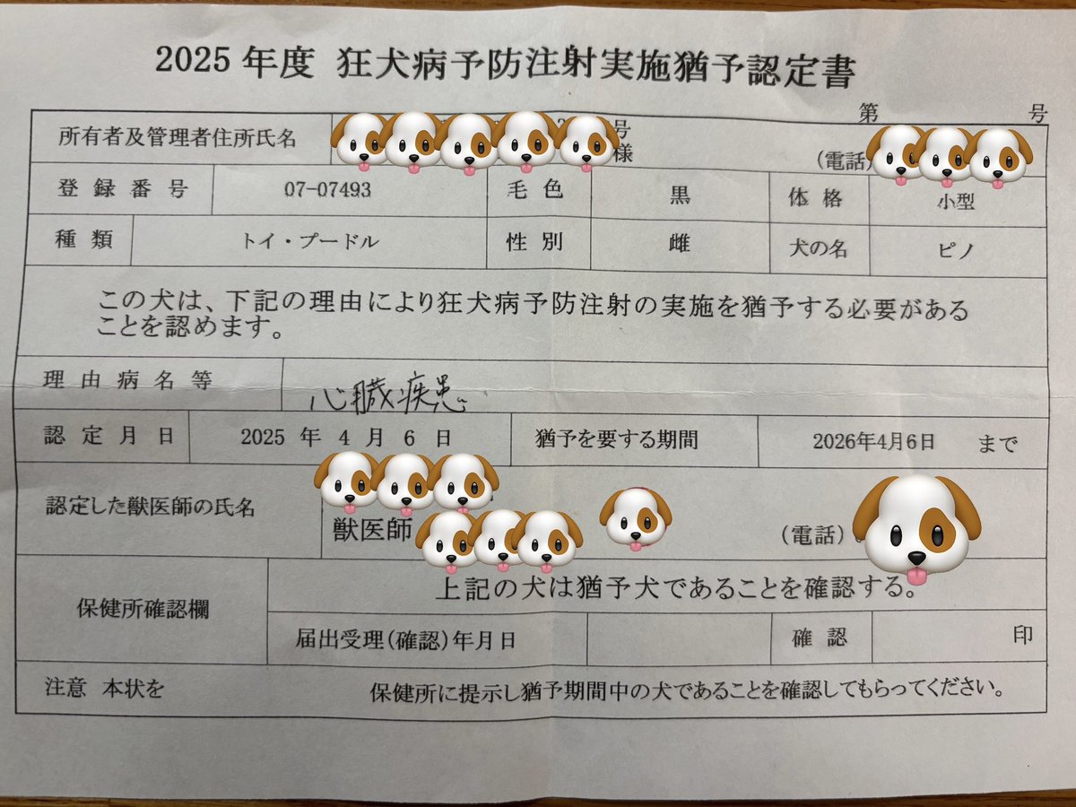 狂犬病のワクチンの猶予認定書を書いて、登録してもらいに行ってきました。
苦しそうに見えるけれど、これがいいんですって。
体重がほんの少し増えてたよ。
聴診も触診も良好でした。
「綺麗にしてもらっているね」と褒められちゃったね！
#秘密結社老犬倶楽部