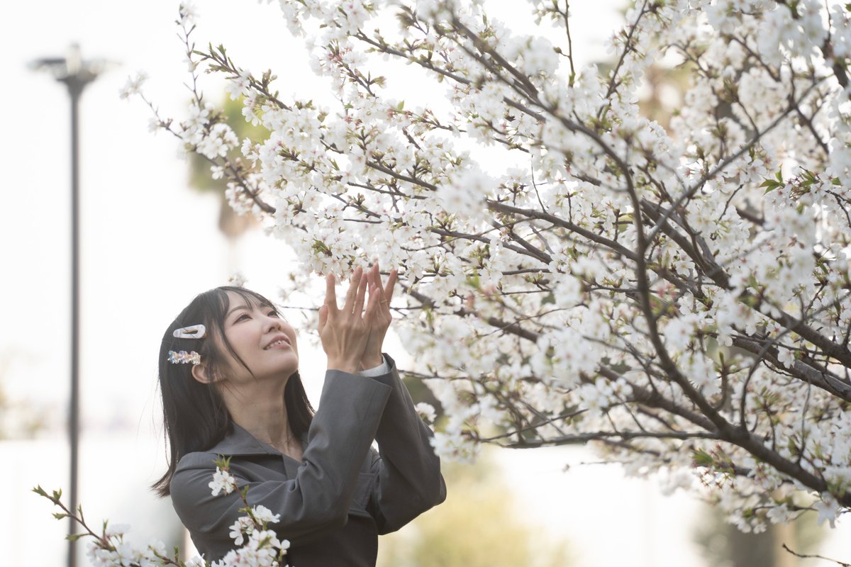 Takaca15's tweet photo. #根岸しおり さん（@negishio_lv）
そっと、華やかに咲く笑顔。

#桜
#ねぎしお
#ポートレート https://t.co/nKjlSeetnh