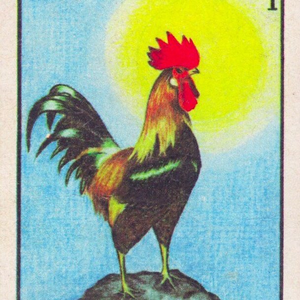 Paquita salviosa tweet media