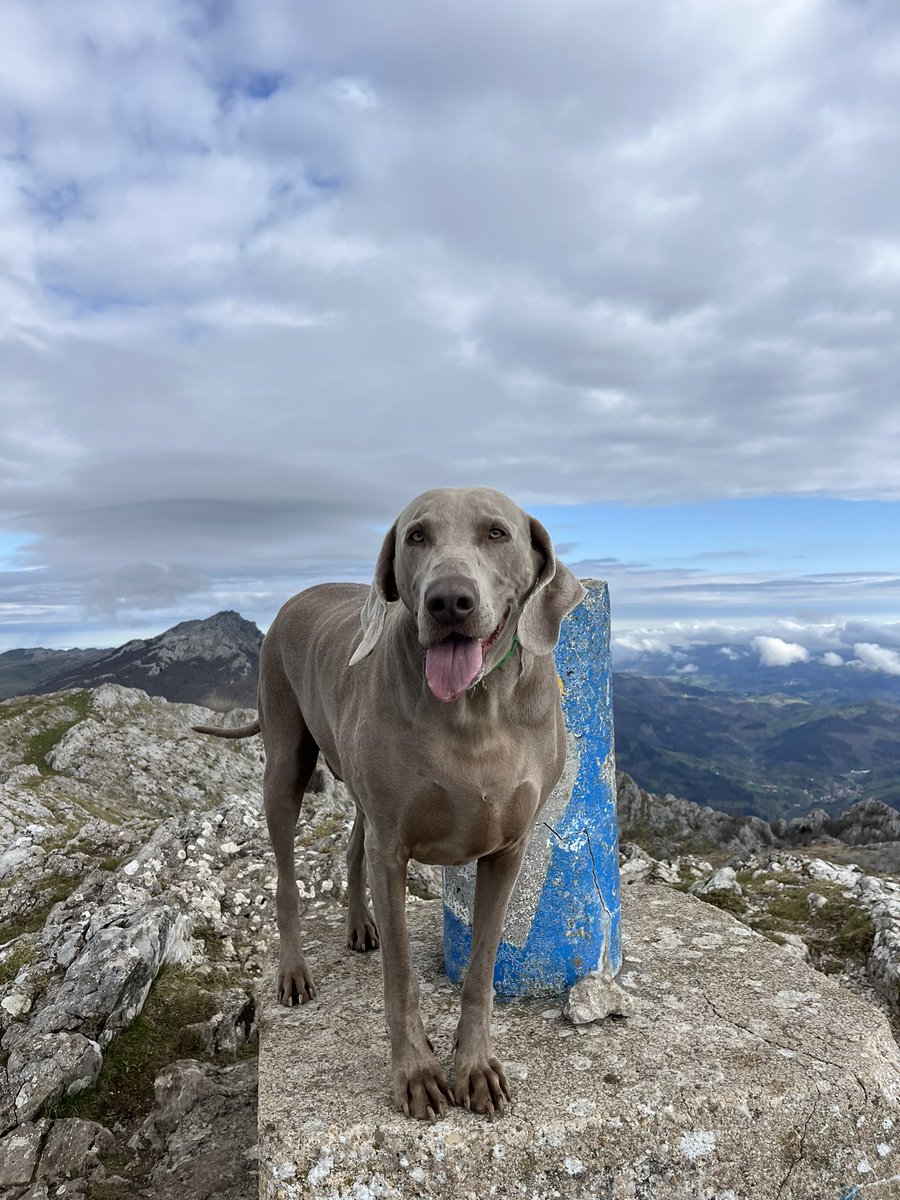 Anartz (@anartz17) on Twitter photo 