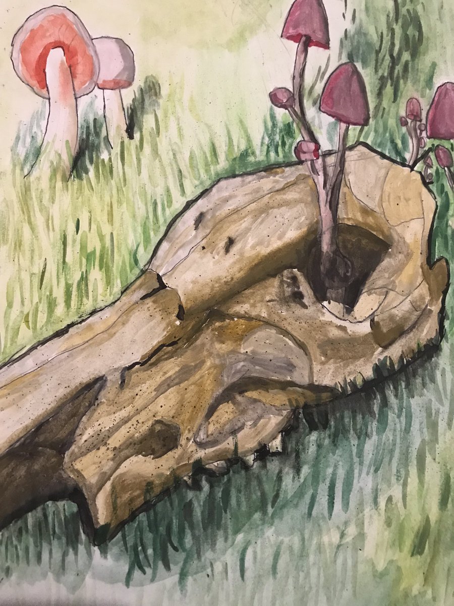 Fluffy_Corvids's tweet photo. First attempt at watercolour,  feeling pretty proud of the result :) still need to work on colour theory though

Looking for #artmoots 

#art #traditionalart #NewArtist https://t.co/8zUBMIAA3w