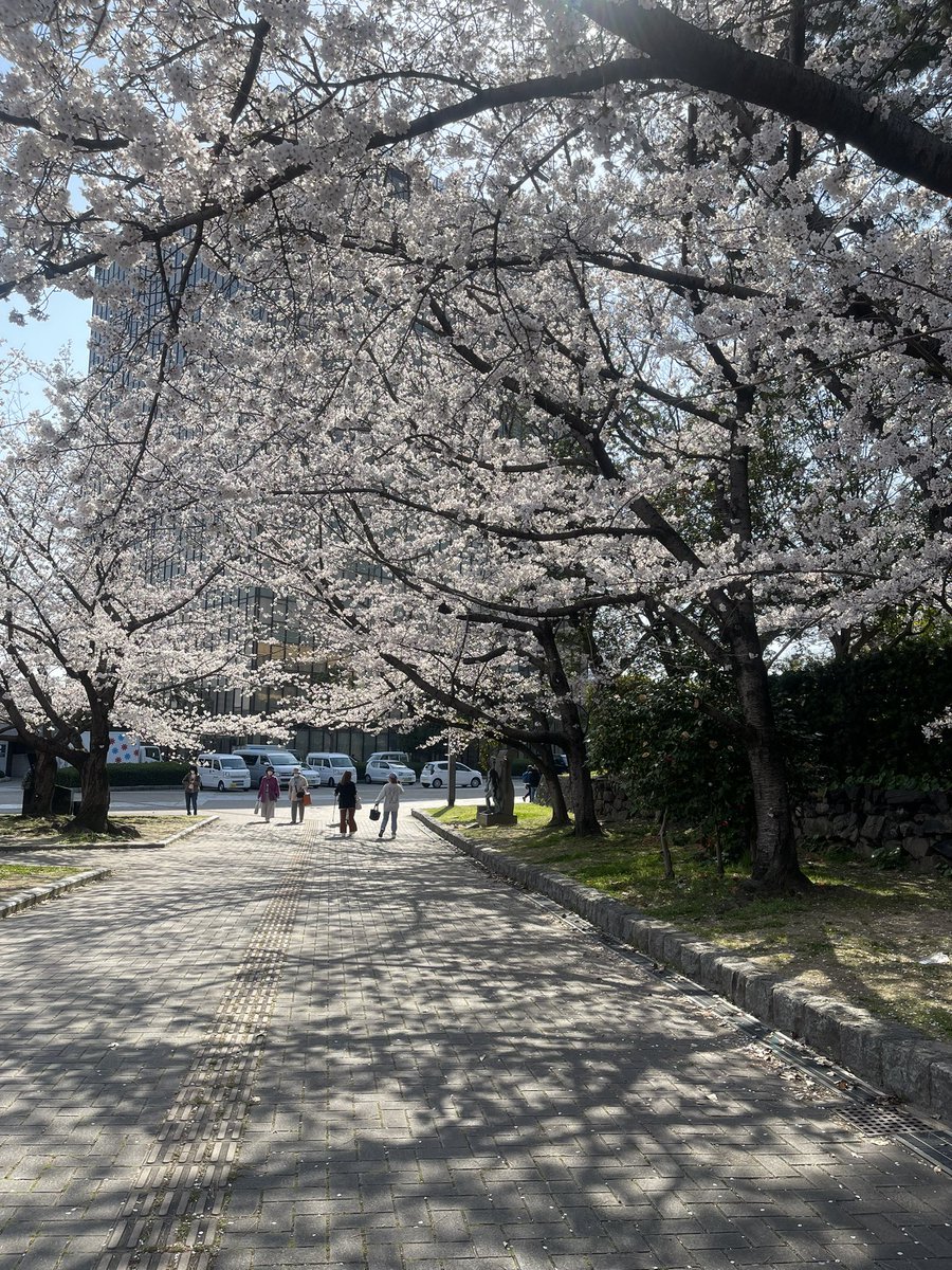 Nhật bản 🇯🇵