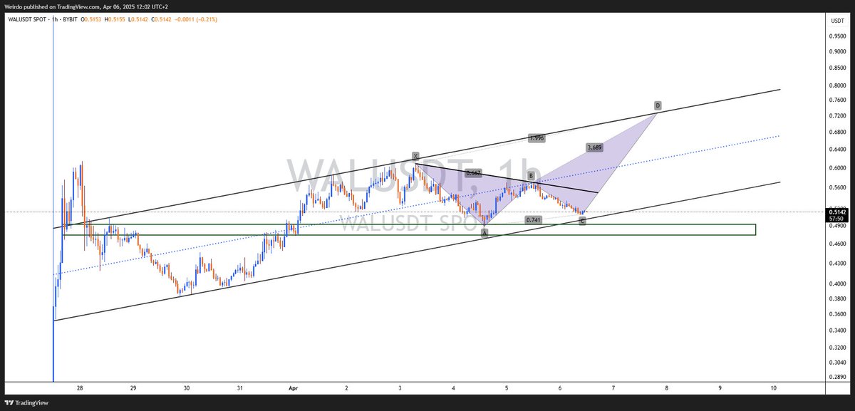 🦭 $WALRUS is about to flap its fins and fly. Yes, fly.

A perfect butterfly pattern is landing softly on major support.
Point C = 🛬 Bearish
Point D = 🚀 Moon Station (0.72?)

Bears need to run... this walrus knows what to do.
#WALRUS  #SUI