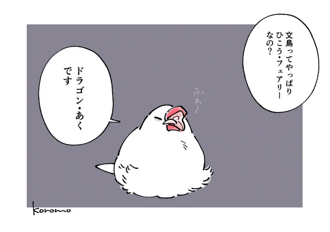 文鳥のタイプ 