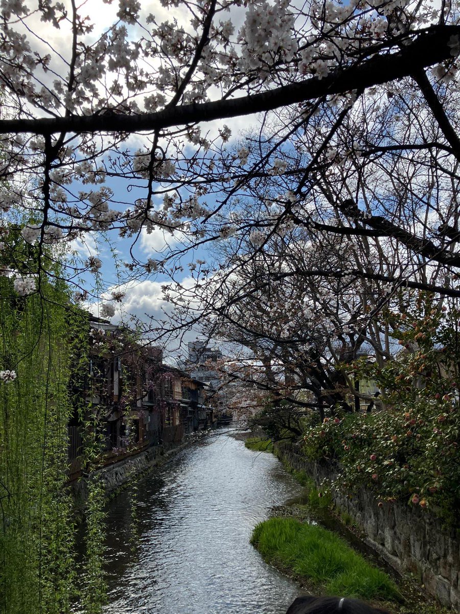 Hiroshi Suzuki tweet media