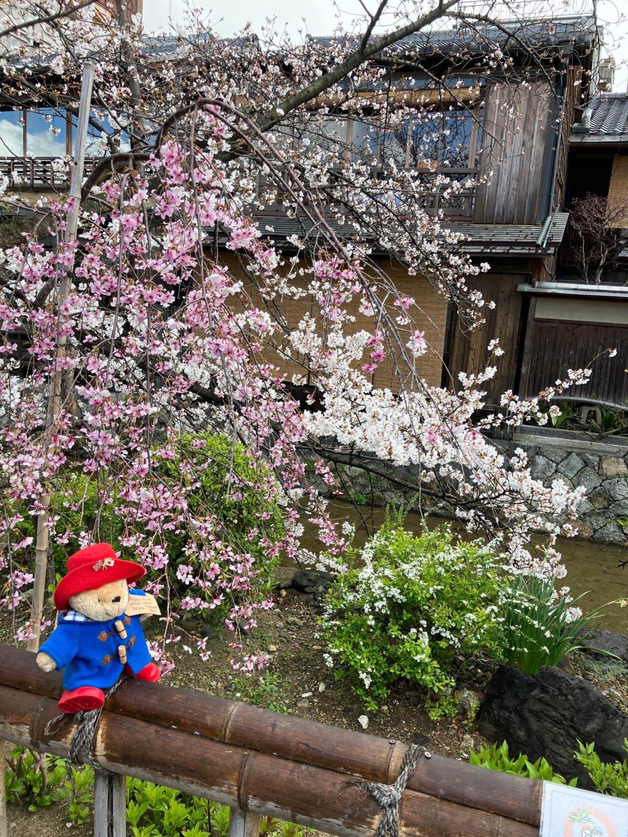 Hiroshi Suzuki tweet media