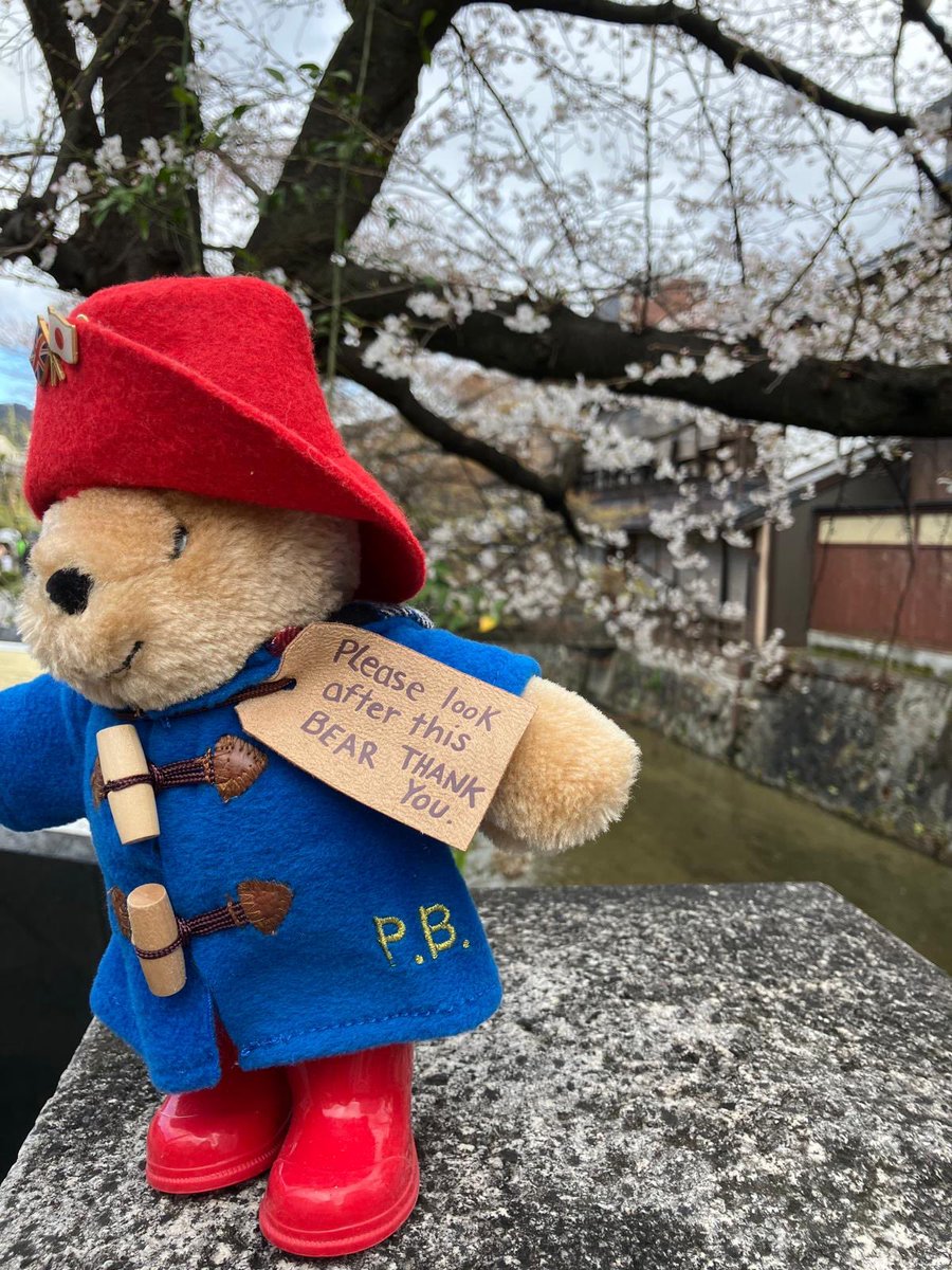 Hiroshi Suzuki tweet media