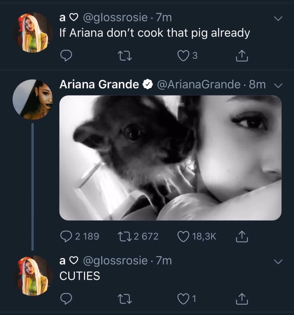 CO ☀️ tweet media