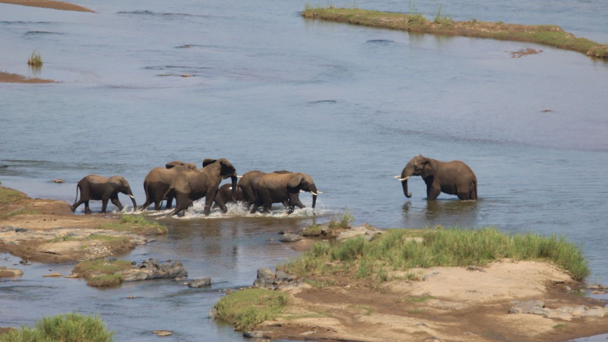 "A single photograph can change the way people see the world. What’s the most powerful wildlife photo you’ve ever seen? 📷✨ #WildlifeStories"