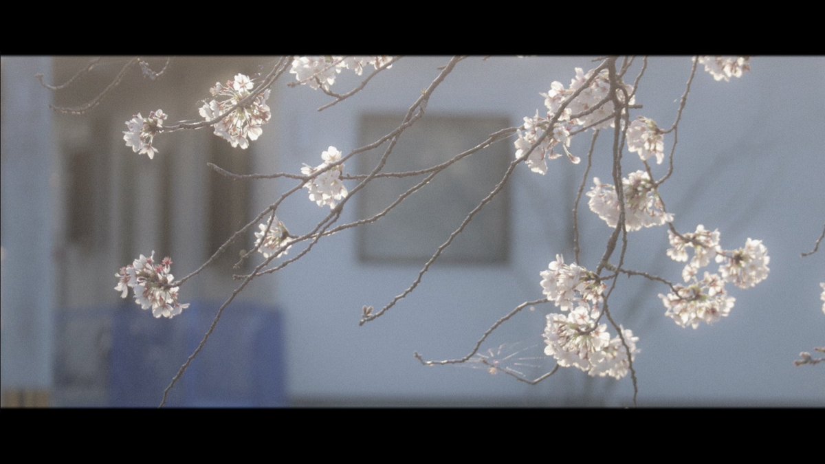 命 (@atmarkaoi) on Twitter photo 