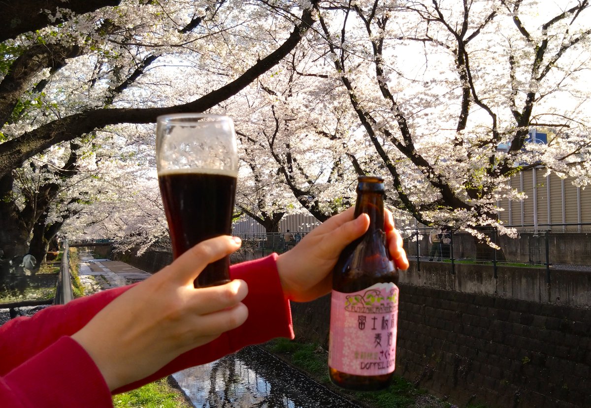 願わくば花の下にて春吞まん!　成就
＃さくらボック    ＃富士桜高原麦酒　#クラフトビール