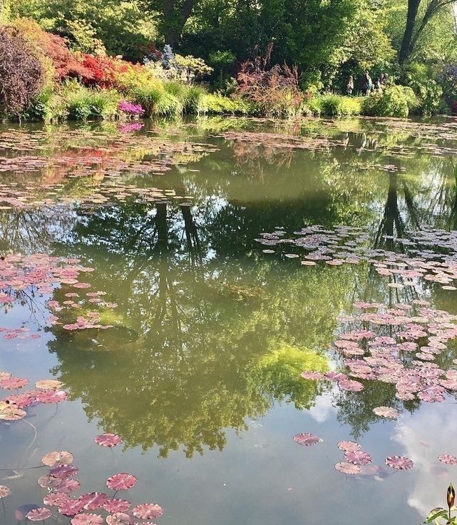 ㅤㅤㅤㅤㅤㅤㅤㅤㅤㅤㅤㅤㅤㅤㅤㅤㅤㅤ
𑁍ˎˊ˗ 𝚖𝚘𝚛𝚗𝚒𝚗𝚐 𝚠𝚒𝚝𝚑 𝚓𝚊𝚎
Всем добрейшего дня ✶
Как проводите воскресенье? Отдыхайте побольше, чтобы набраться сил перед рабочей неделей 
ㅤㅤㅤㅤㅤㅤㅤㅤㅤㅤㅤㅤㅤㅤㅤㅤㅤㅤㅤㅤ