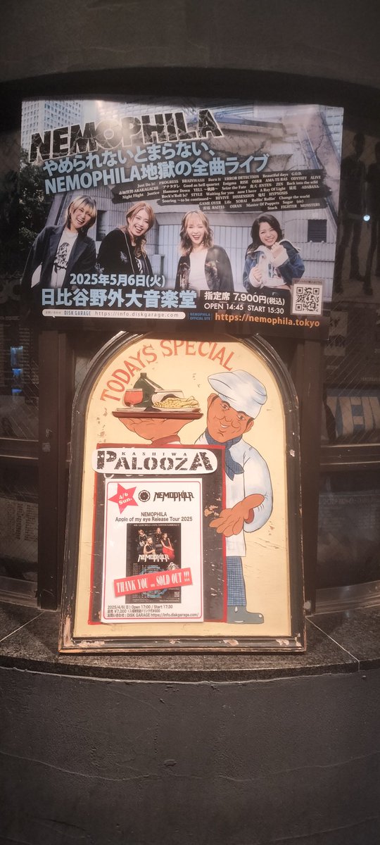 0806Rihito's tweet photo. #NEMOPHILA
いいですね、「sold out！」
鬼の一曲もやったし
まさか最後にmayu、葉月、ハラグチサンとグータッチ出来るととは😅
次は埼玉にも来てーーー https://t.co/VRyh5GGRdK