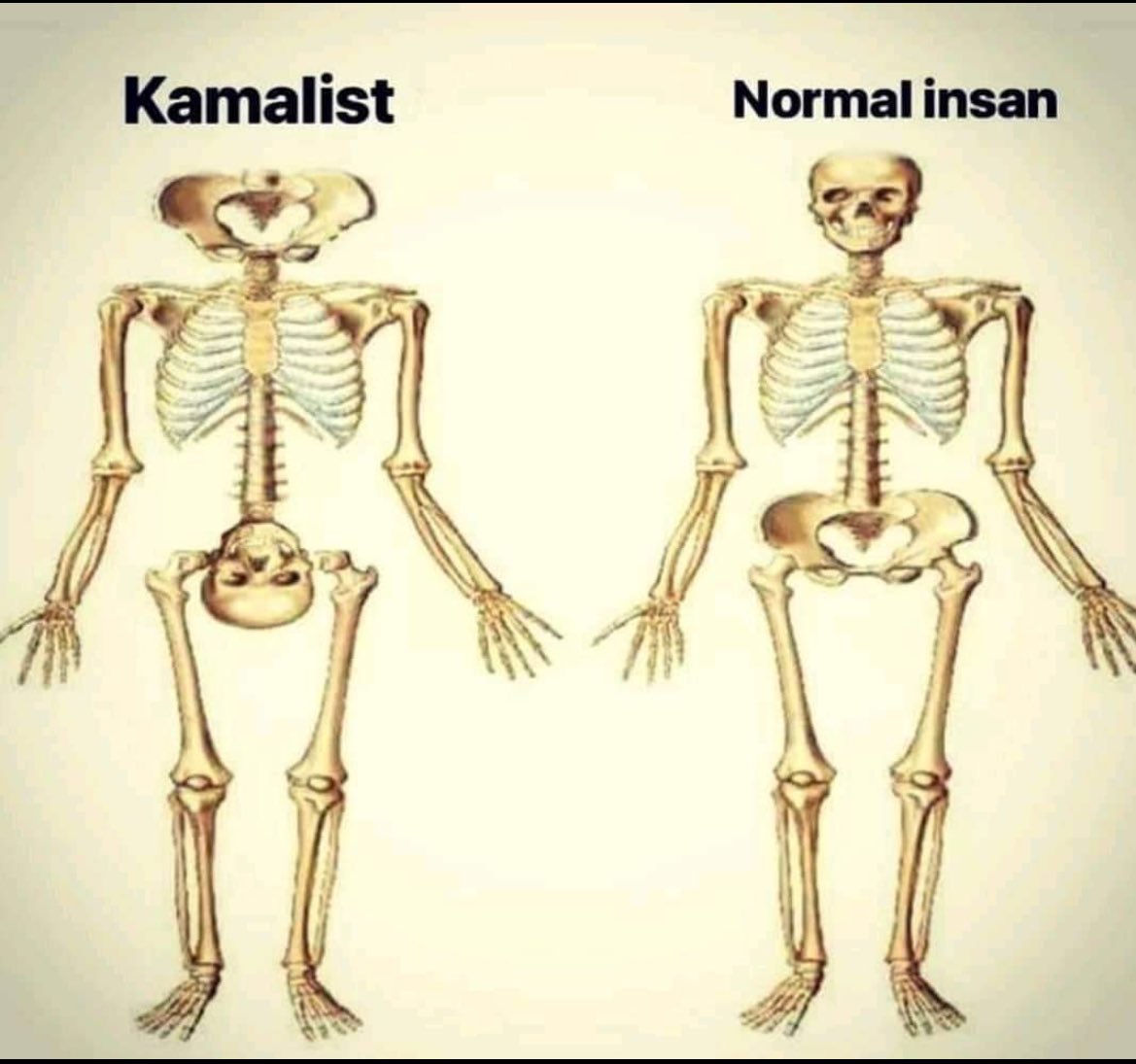 Nene hatun.. tweet media