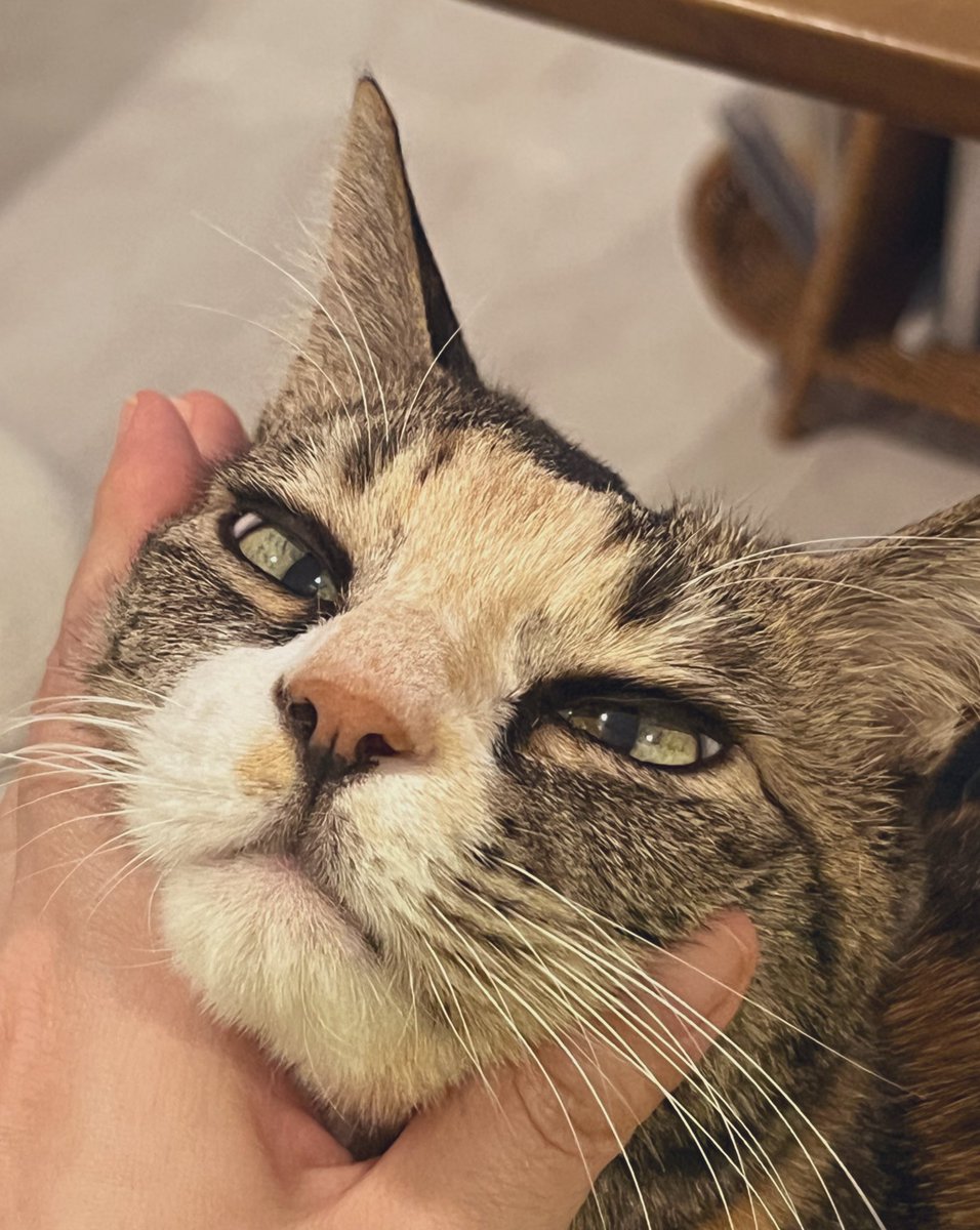 💕