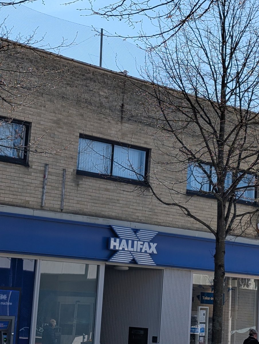 Daniel Wade tweet media