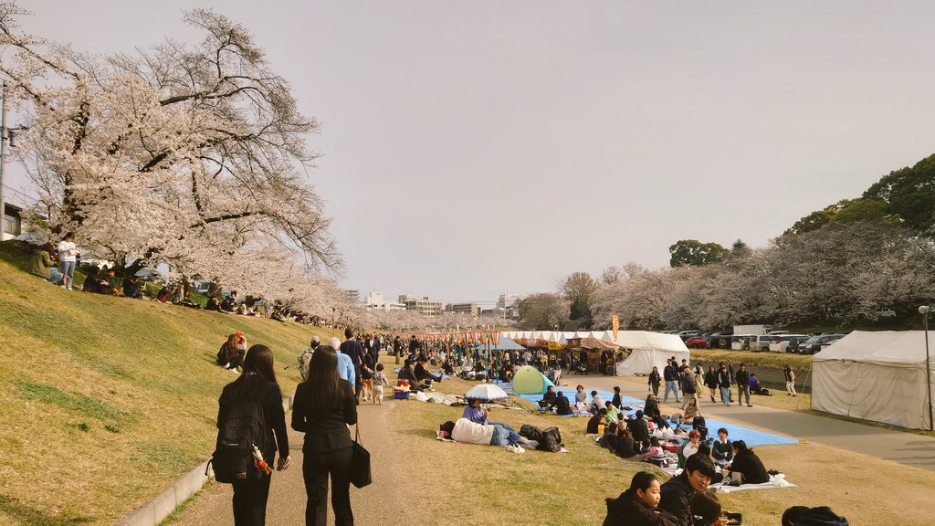 monpata3's tweet photo. 昨日は日帰り岡山かましてきたけど たまたま花見のお祭り？してて屋台 出てて得した気分なった！

あと新幹線までの時間潰しに入った大人のホテル……なんで1部屋料金で2部屋繋がってたんやろ……白い部屋なんて全面プロジェクターのスクリーンなってたし…… https://t.co/Oe70GIV3fM